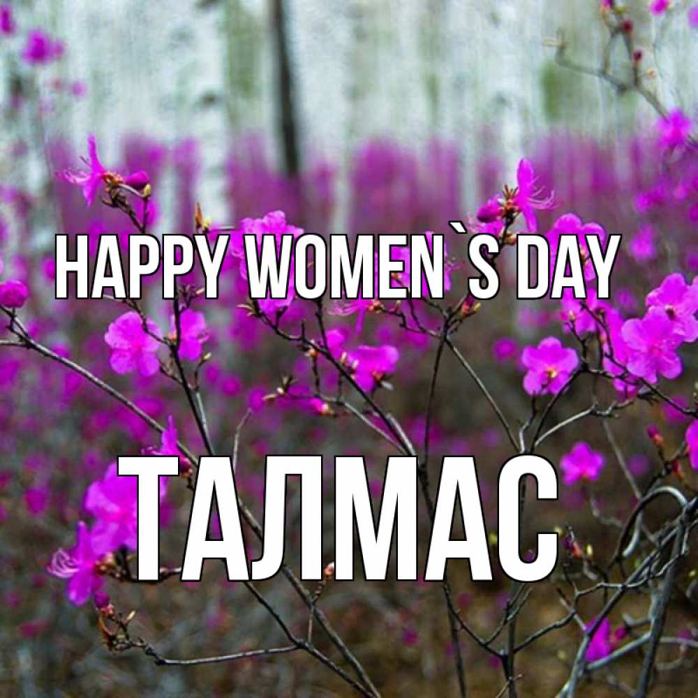 Greetings card с именем, ТАЛМАС happy women`s day дикие цветы Greetings with text for free download 